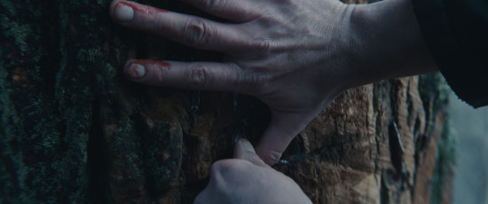 adaptation-1-dir-bartosz-kruhlik-main-photo-to-catalouge