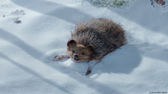 first-snow-hedgehog