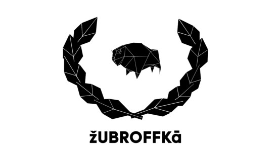 The Jury of Żubroffka 2017