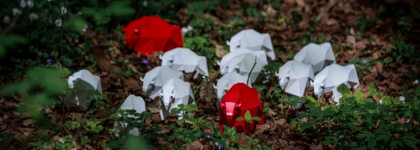 Uroczyste zakończenie Festiwalu