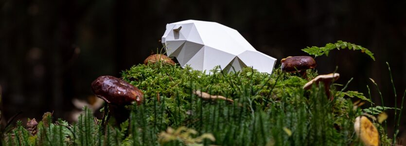 Nabór filmów na 20. Międzynarodowy Festiwal Filmów Krótkometrażowych ŻUBROFFKA